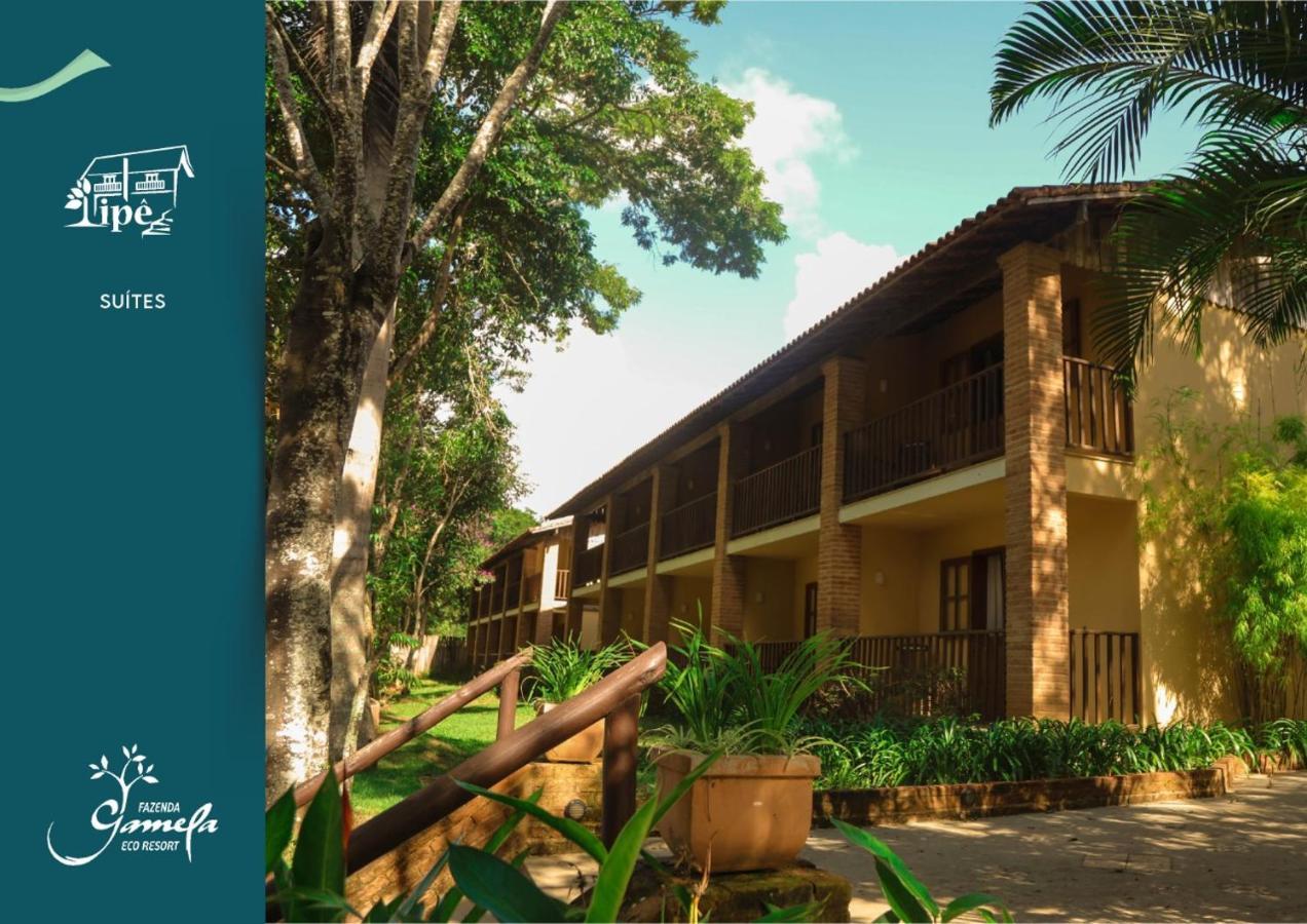 Fazenda Gamela Eco Resort Cantagalo  Extérieur photo
